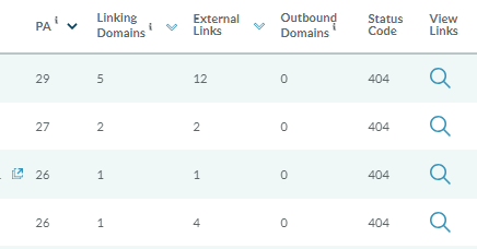 raport dot. podstron z 404 w narzędziu Link Explorer