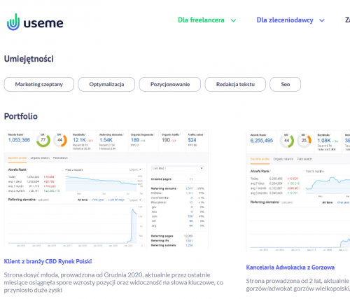przykładowy profil wykonawcy na useme.eu